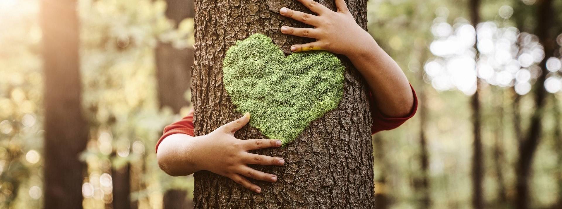 Bien ou Bien est une place de marché dédiée à la consommation responsable, imaginée par Ulule et MAIF, Main d'enfant serrant un tronc d'arbre, avec un coeur de mousse
