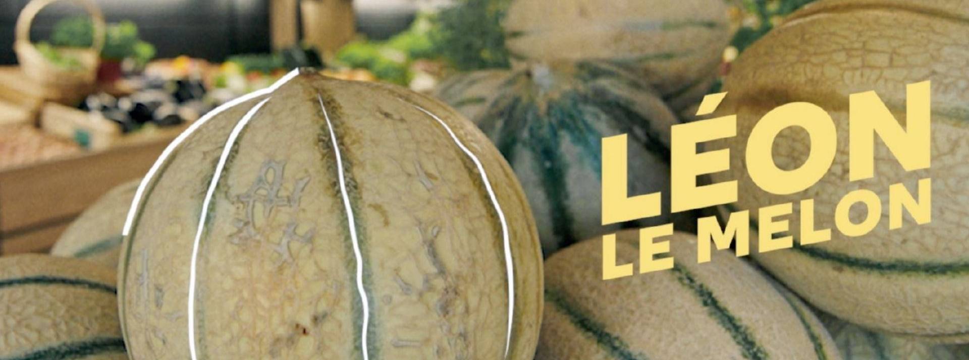 Phenix, la startup française qui lutte contre le gaspillage alimentaire et non-alimentaire depuis 2014 a choisi l'agence Sweet Spot Melon