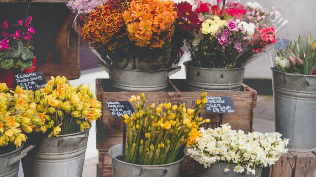 Bouquets de fleurs