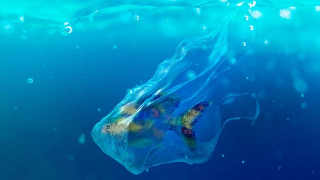 Possion pris au piège d'un sac plastique