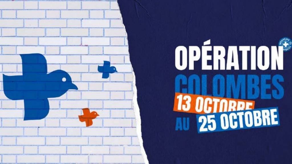 Colombe bleue