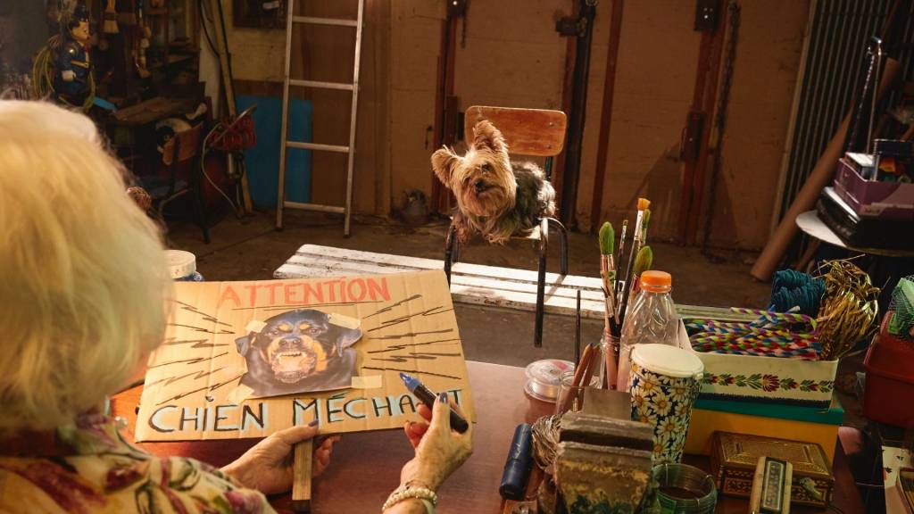 Grand Mère faisant une affiche  - chien méchant -  avec un yorkshire face à elle