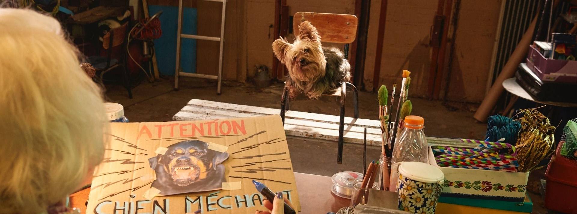 Grand Mère faisant une affiche  - chien méchant -  avec un yorkshire face à elle