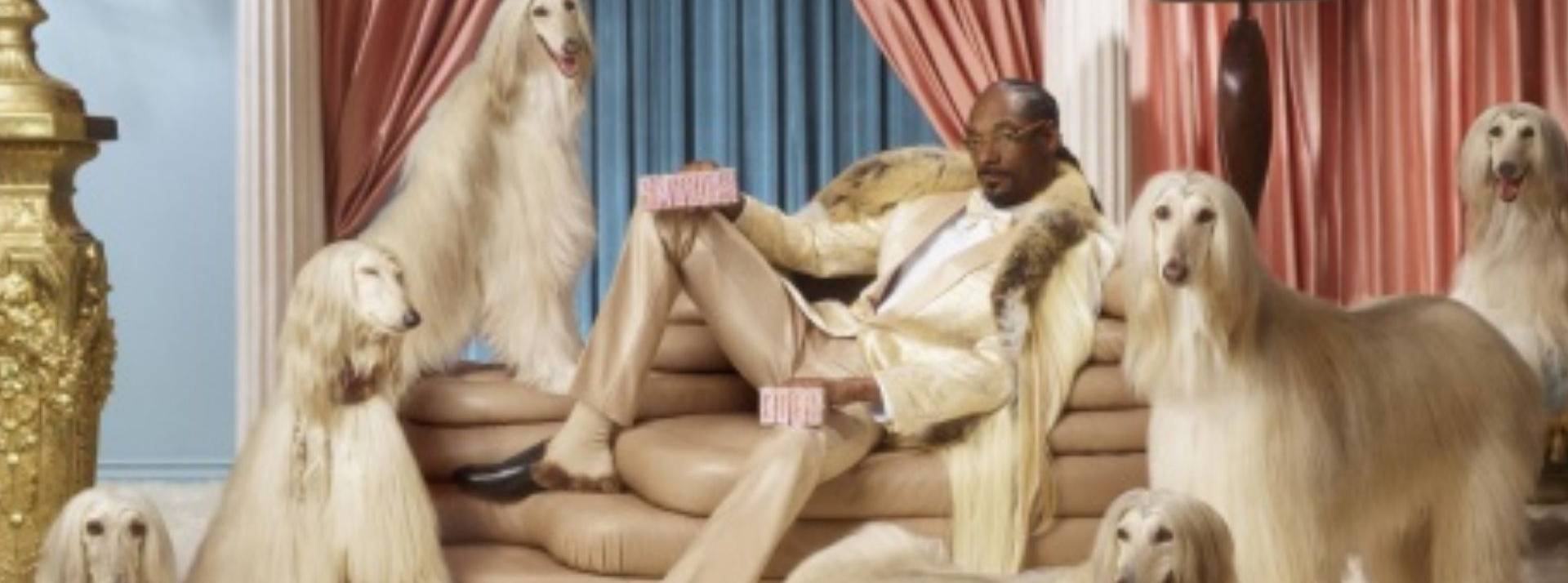 CONNECTIONS by LE BOOK est l’événement qui regroupe le meilleur de la communauté créative internationale. SnoppDog entouré de chiens