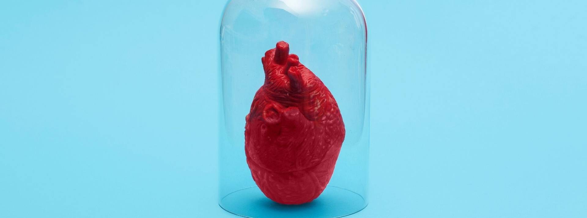 Lifeaz, start-up à l’origine de Clark, le 1er défibrillateur conçu pour les particuliers et fabriqué en France, annonce aujourd’hui avoir réalisé une levée de fonds de 4 M€ auprès de Mutuelles Impact, fonds Coeur humain sous une cloche transparente