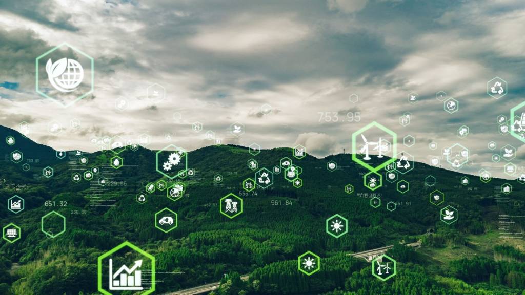 Forêt