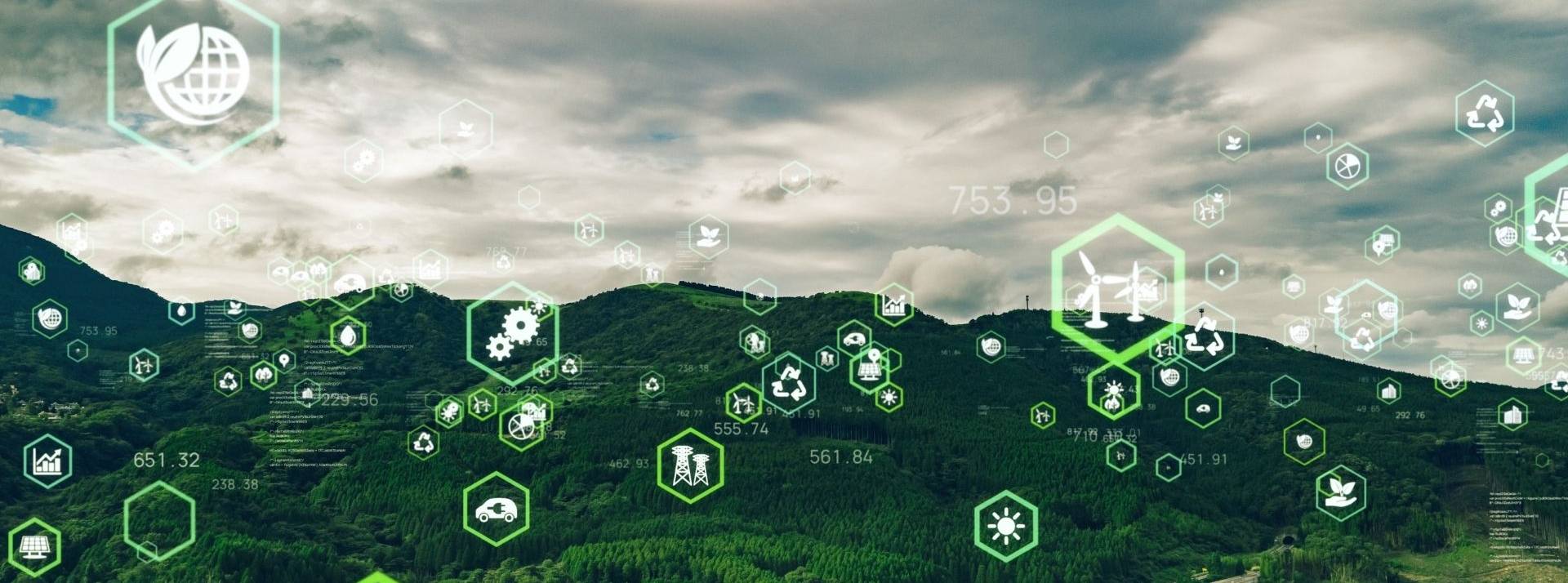 Axylia, maison de finance responsable, publie une enquête exclusive sur le risque carbone des 50 plus gros fonds actions Europe Forêt