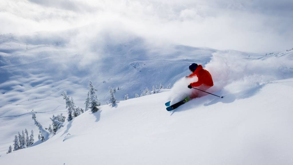 Skieur sur une neige poudreuse