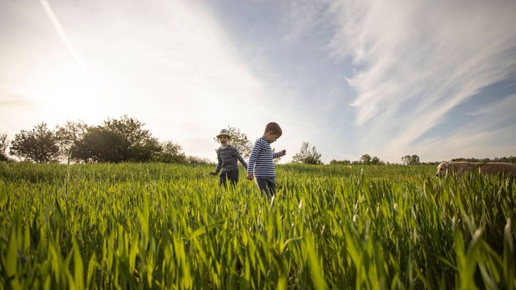 2 enfants se promenant dans un champ