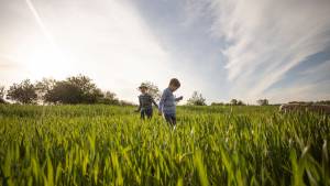 2 enfants se promenant dans un champ