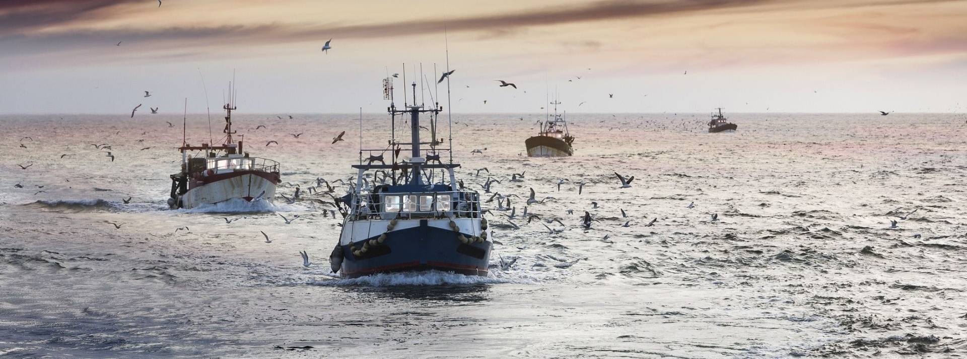 Ifremer lutte contre la surpêche avec un chalut intelligent Bateau de pêche