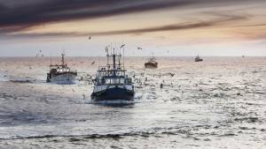 Bateau de pêche