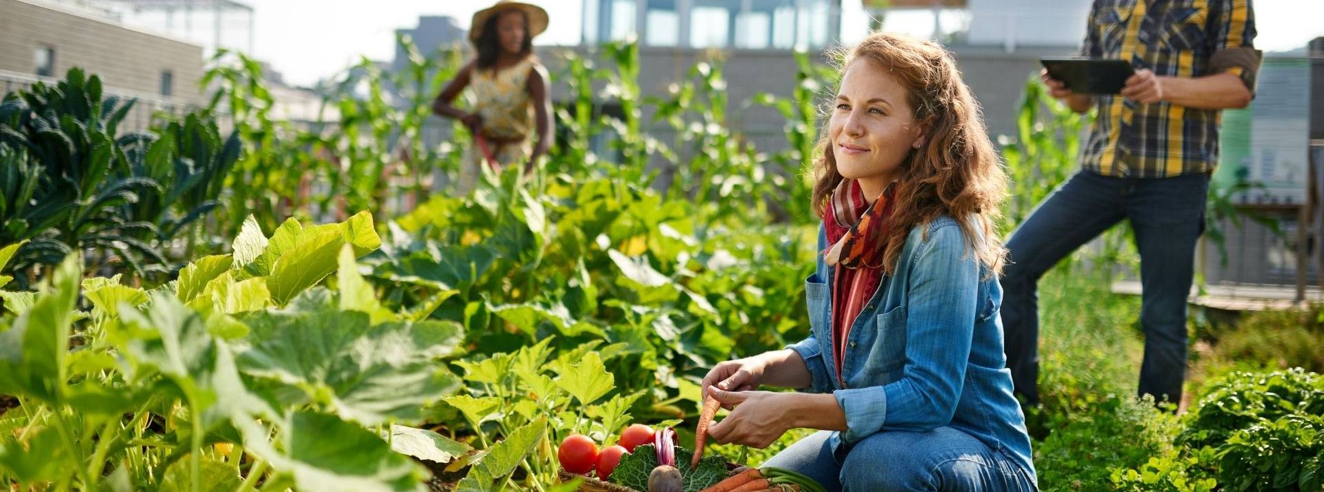 ITK, spécialiste de l’agri-intelligence pour une agriculture durable et décarbonée, annonce une levée de fonds de 10 millions d’euros auprès d’EDF Pulse Holding 3 personnes dans un champs