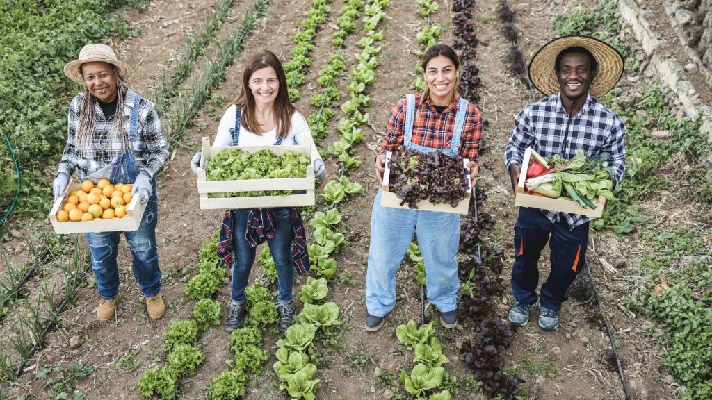 Producteurs de légumes