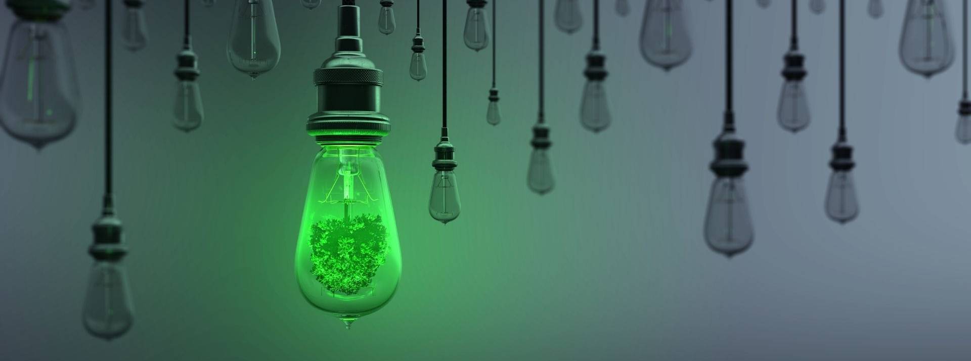 Keekoff dévoile son label startup engagée à destination des jeunes entreprises qui valorisent l’impact positif Ampoule écologique permanent hors de la foule