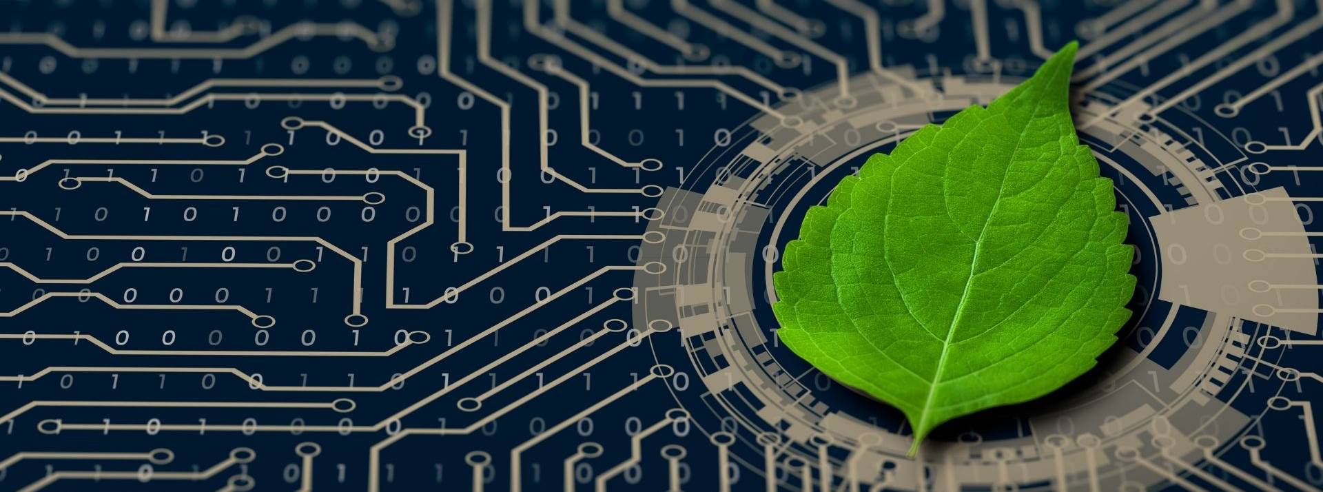 La crise climatique fait émerger de nouveaux influenceurs de la GreenTech, selon la nouvelle Tyto Tech 500 Power List Microprocesseur avec une feuille d'arbre dessus