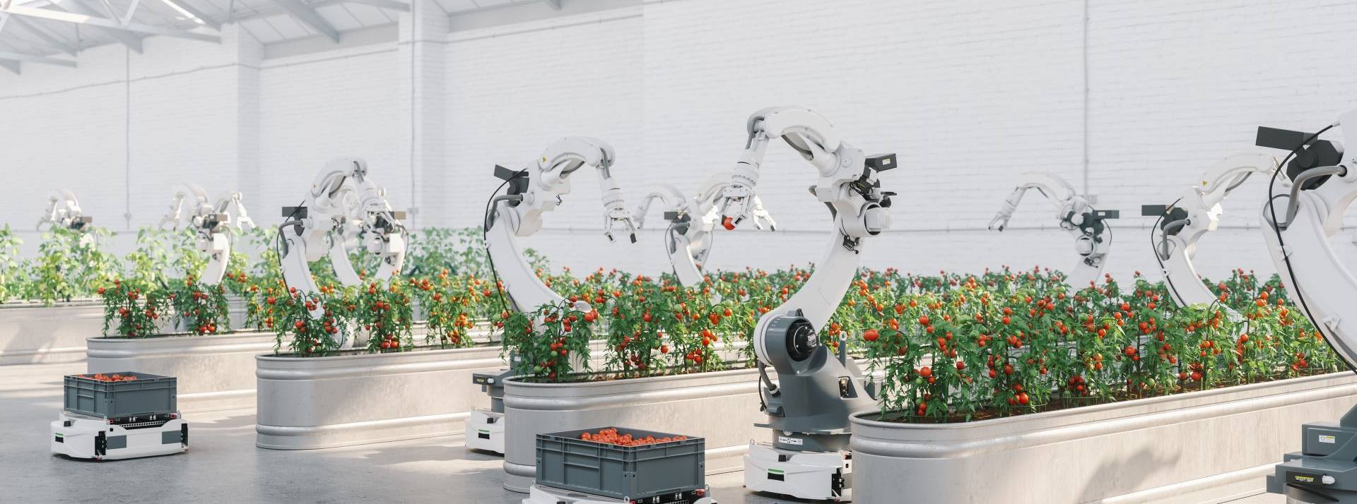 Etude : Comment les populations perçoivent-elles l’IA ? Font-elles confiance aux différentes institutions susceptibles de concevoir des solutions d'automatisation ?  Agriculture automatisée avec robots