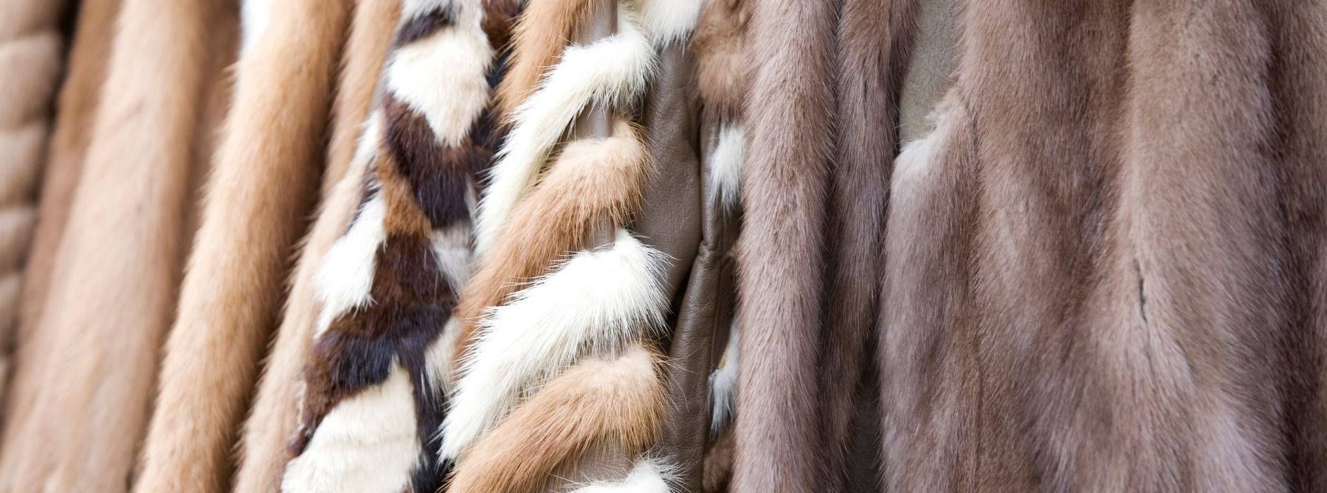 Le réseau ELLE International est fier d'annoncer que toutes ses éditions se sont engagées à mettre fin à la promotion de la fourrure animale dans leurs pages et en ligne. Manteaux en fourrure