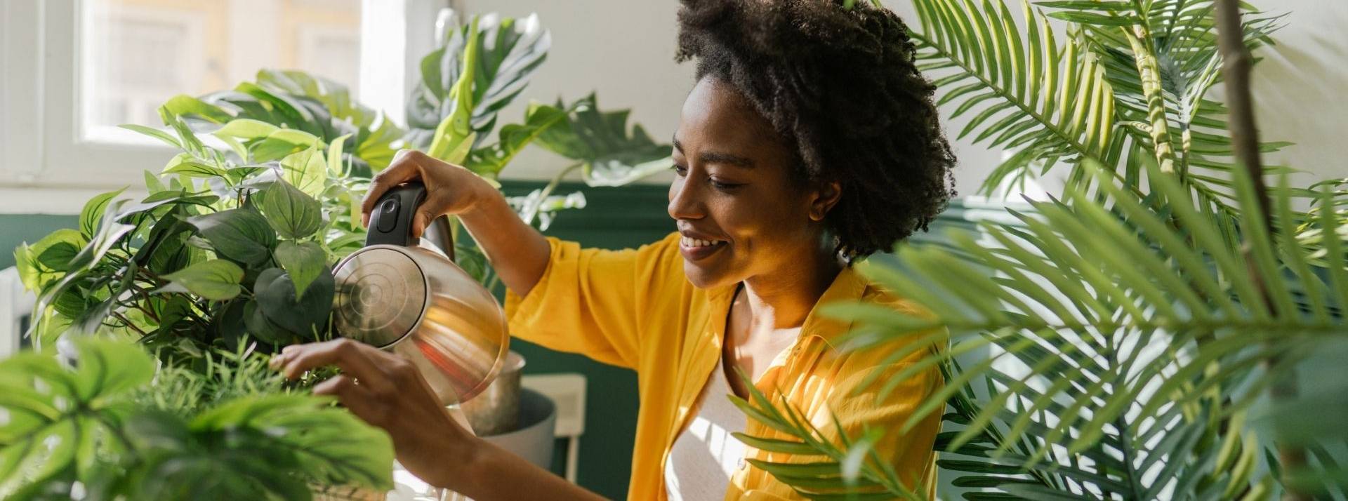 AKagreen démarre Akademy : Un programme collaboratif de végétalisation Des plantes au bureau