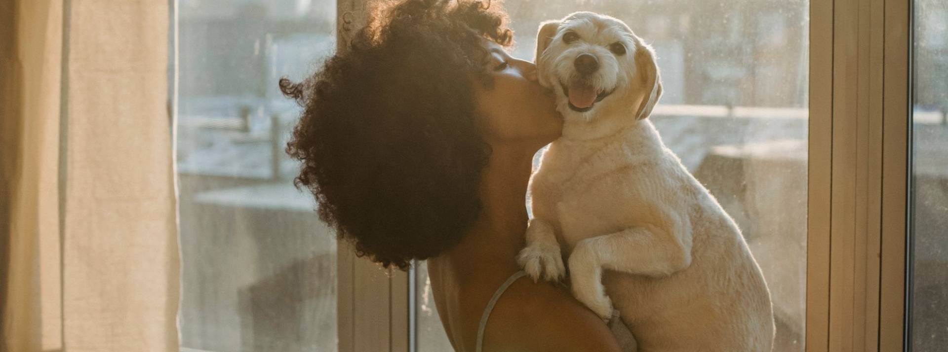 Forte de résultats prometteurs avec la gamme chien, Elmut, leader français de l’alimentation fraîche pour chiens lève 1,7 million d’euros Femme embarssant son chien qu'elle porte dans ses bras