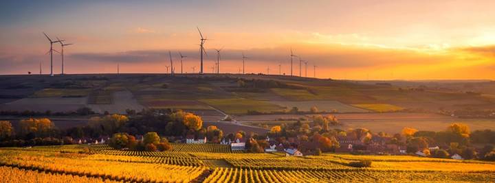 Vu panoramique d'un champ au coucher du soleil avec des éoliennes dans le fond