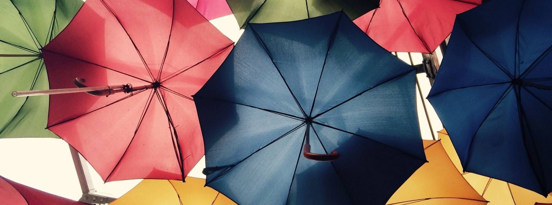 Luko, leader de la néo-assurance habitation, annonce l’acquisition de l’assureur allemand Coya et devient le n°1 de la néo-assurance en Europe Parapluies