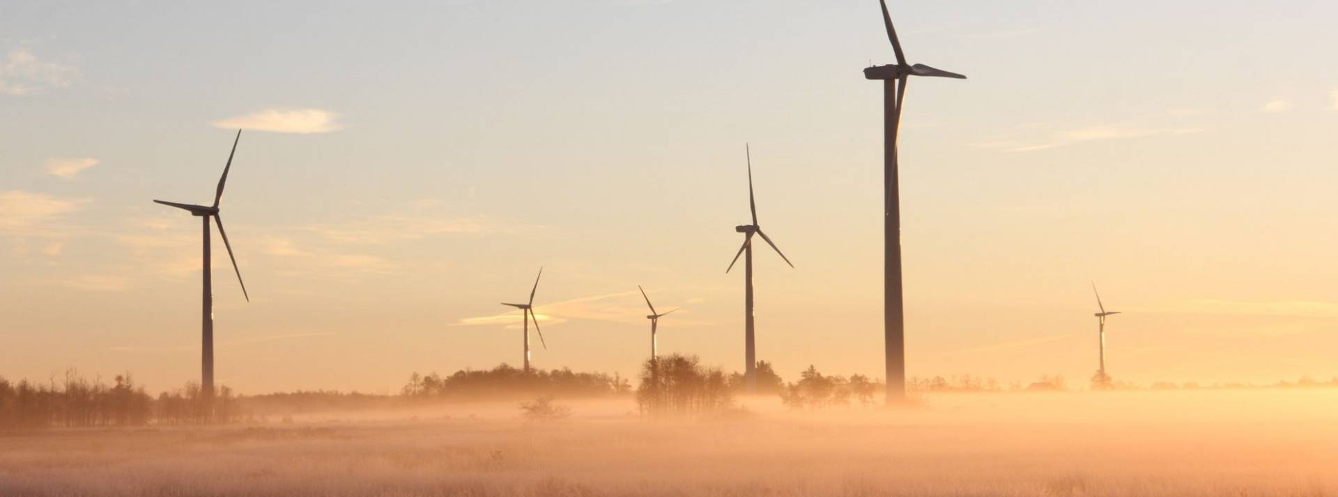 Plus de la moitié des PDG vont intensifier leurs investissements et leurs fusions et acquisitions en 2022, mais des difficultés subsistent Eoliennes