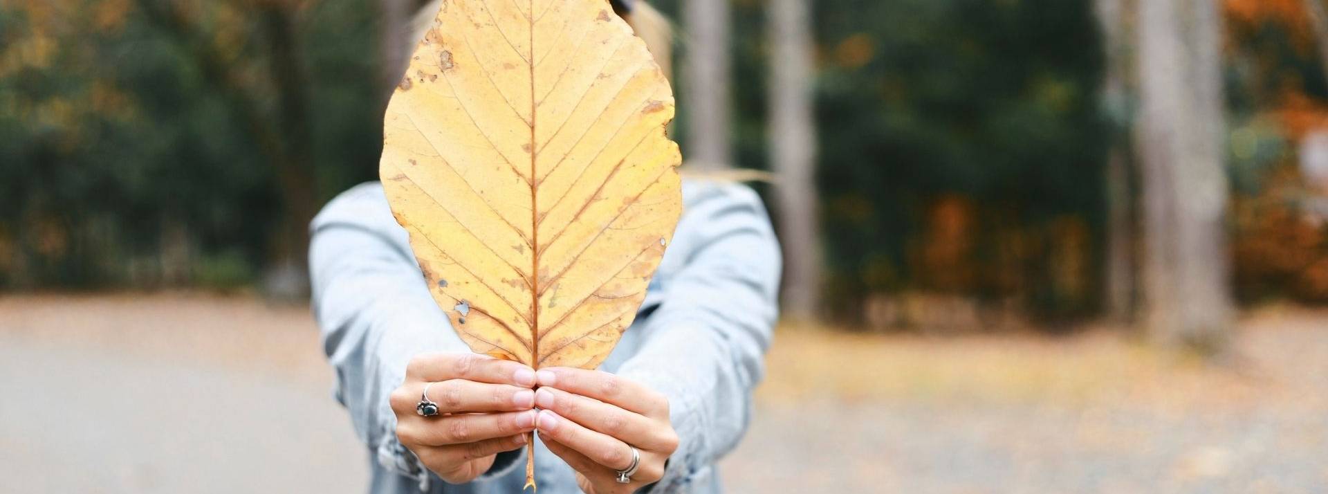Comment changer le monde grâce au Behavioral Design ? Tenir une feuille dans ses mains