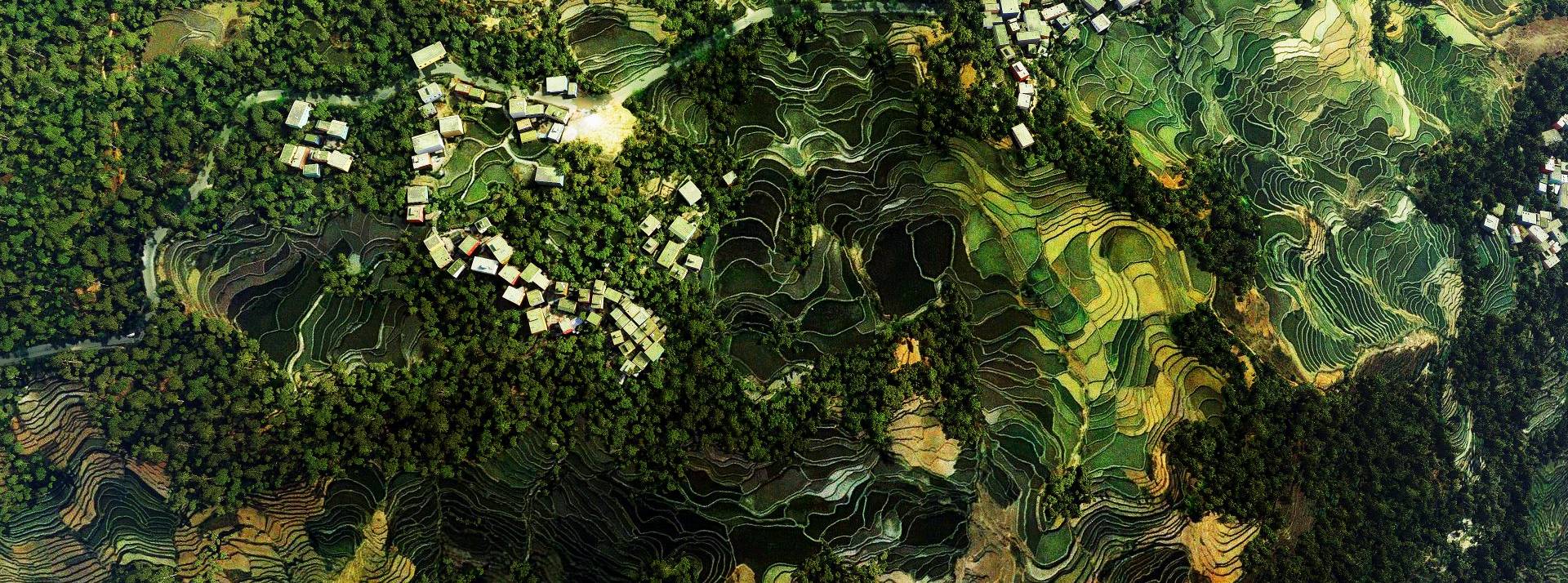 Le 14 janvier 2022 a eu lieu le lancement du projet ADOPT pour suivre les impacts du changement climatique dans les parcs naturels régionaux grâce aux satellites Forêt vu d'un satellite