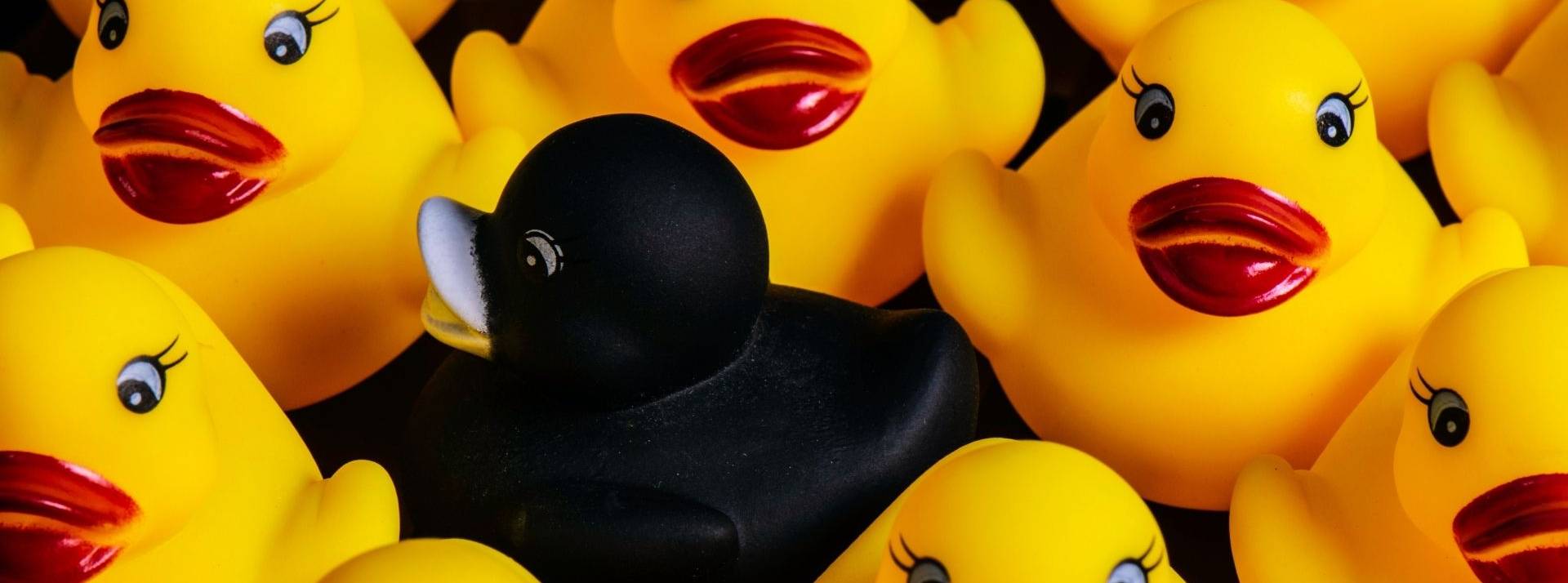 Le 24 janvier 2022, le groupe Jacquie & Michel a lancé officiellement sa cryptomonnaie : le Jimizz (JMZ). Petits carnards jaunes en plastique avec du rouge à lèvre et un canard noir au centre