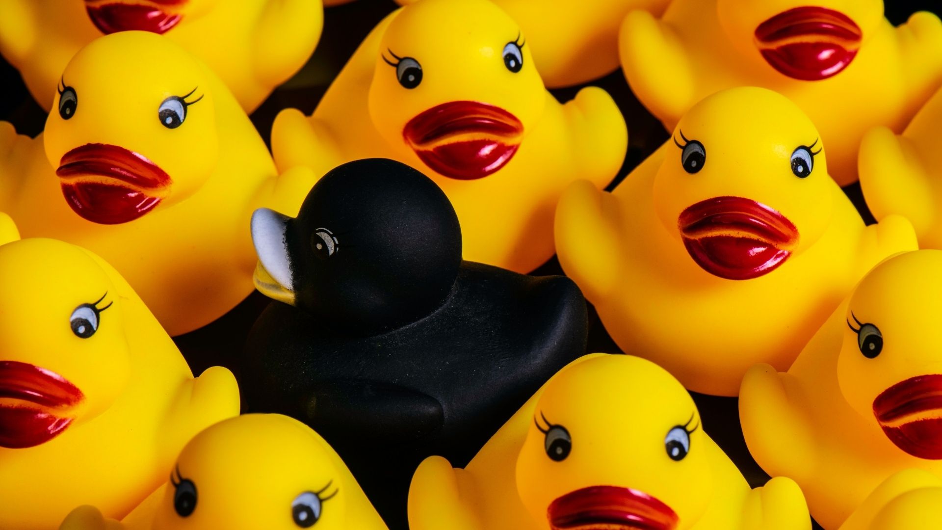 Jacquie & Michel lance sa cryptomonnaie : le Jimizz