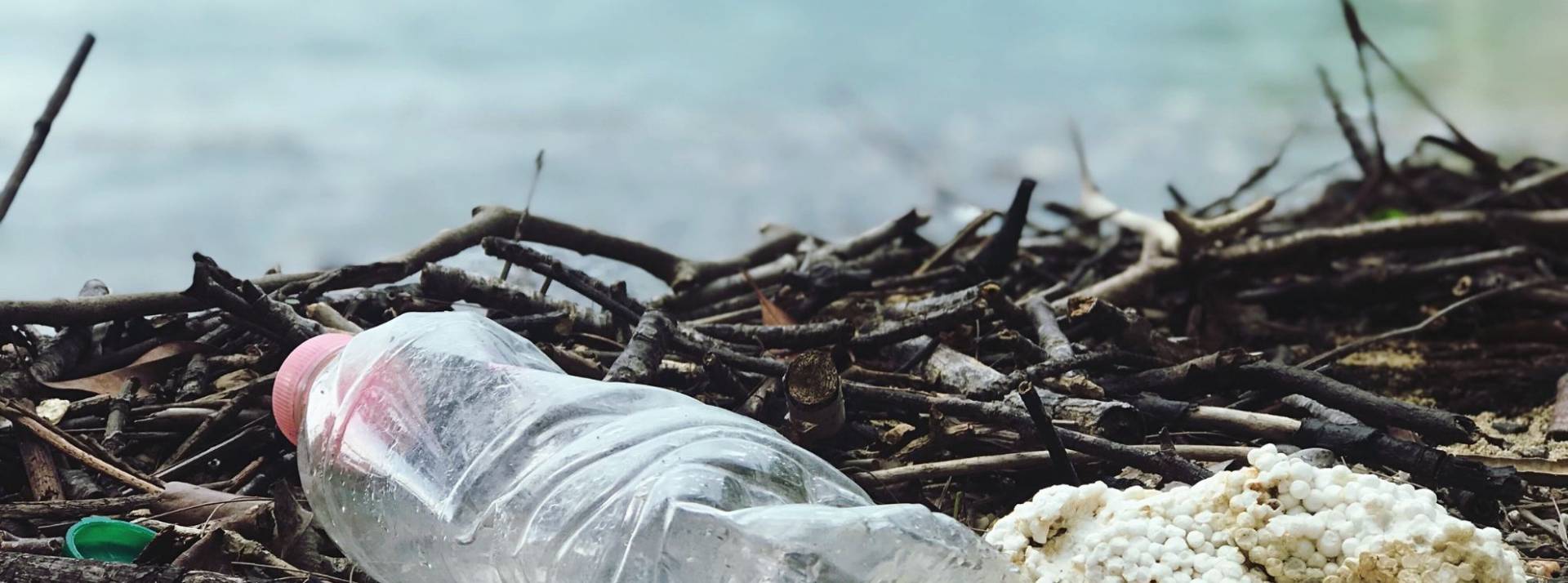 Cette année, Infostrates a choisi de souhaiter des voeux utiles pour la planète en soutenant MerTerre. Bouteille plastique sur une plage