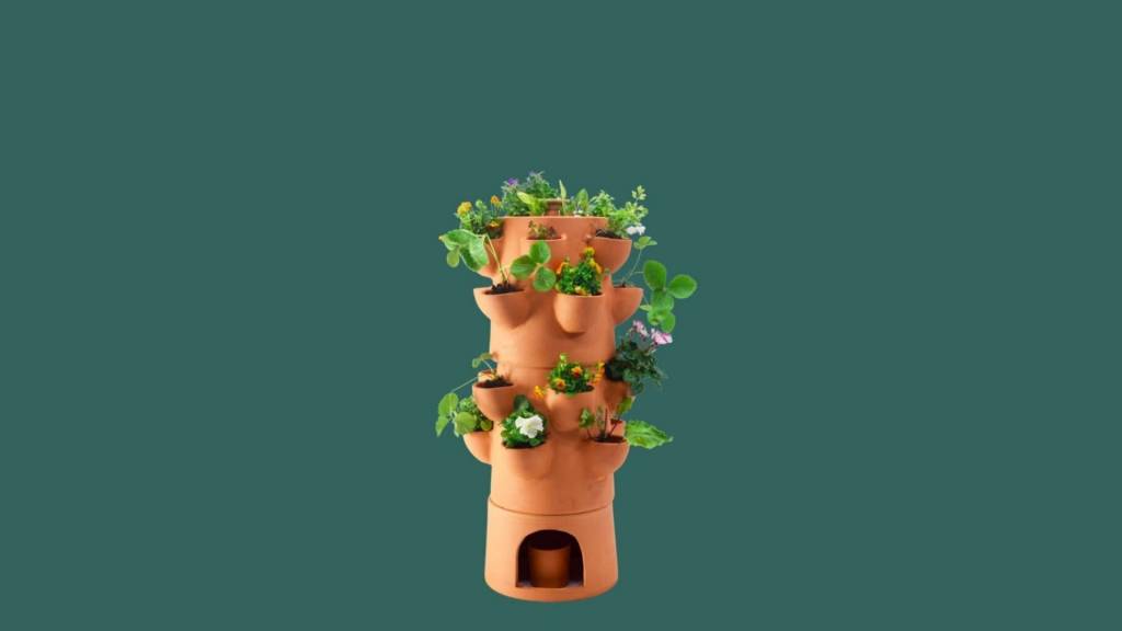 Potager de balcon