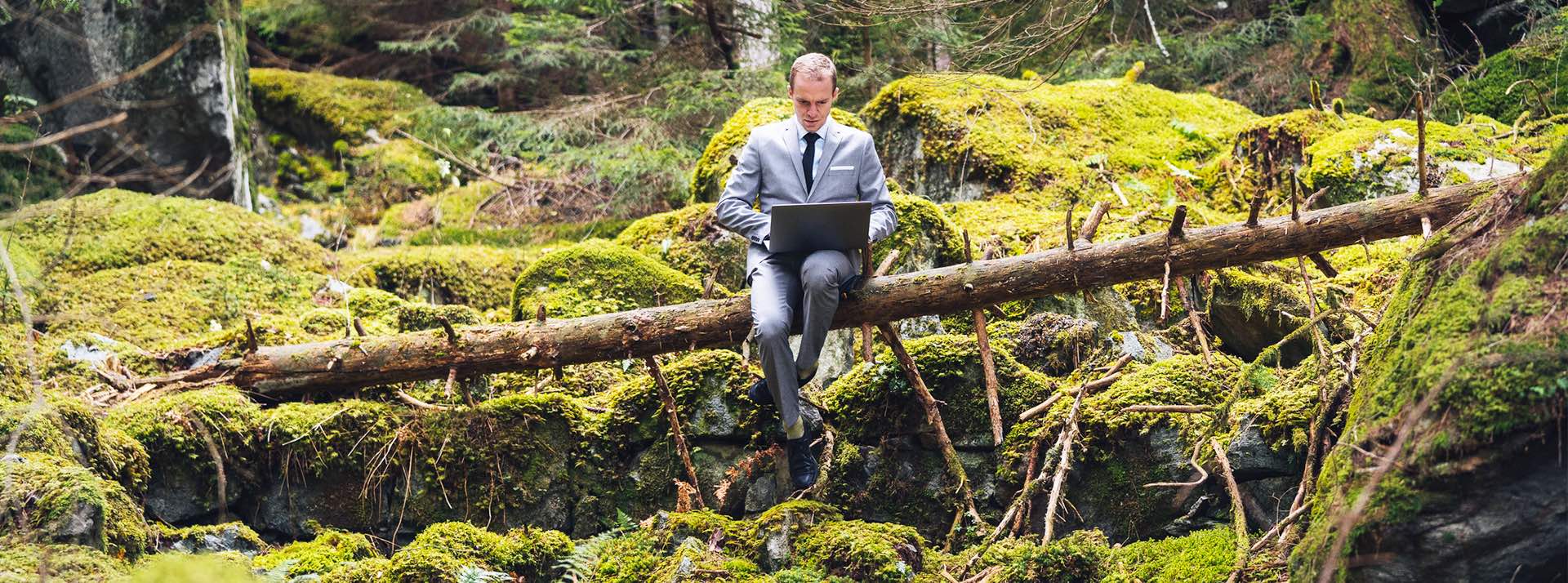 AscentXmedia Homme dans la forêt