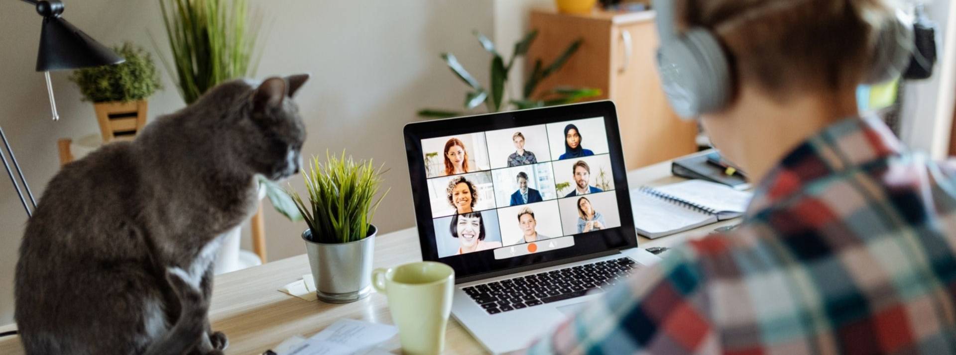 Deskare, startup française qui édite une plateforme SaaS d'organisation du travail hybride, annonce aujourd'hui avoir levé 1,2 millions d'euros Femme en télétravil en visiconférence, avec son chat sur le bureau