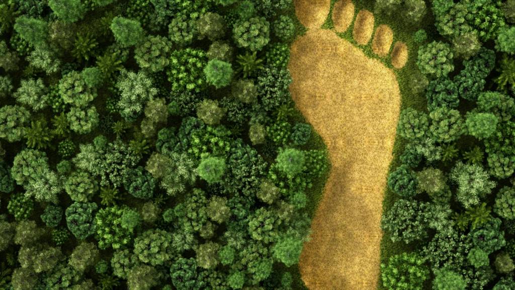 La régie du groupe TF1 souhaite contribuer activement à la transition écologique de la filière communication et annonce la co-création avec Youmatter d'une Fresque de la Publicité. La régie du groupe TF1 souhaite contribuer activement à la transition écologique de la filière communication et annonce la co-création avec Youmatter d'une Fresque de la Publicité.