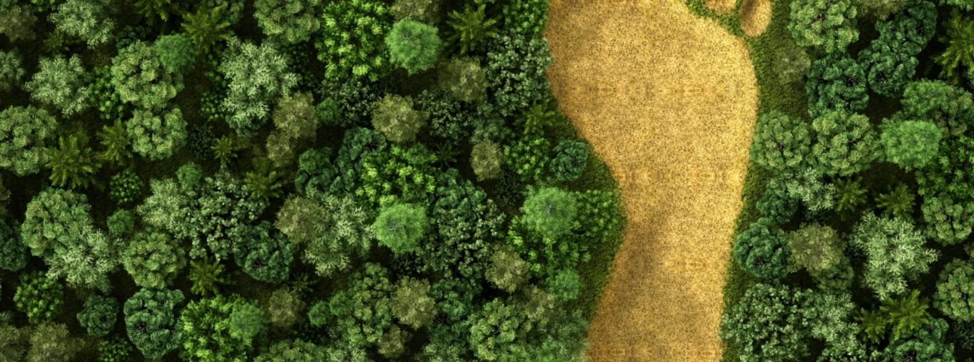 La régie du groupe TF1 souhaite contribuer activement à la transition écologique de la filière communication et annonce la co-création avec Youmatter d'une Fresque de la Publicité. La régie du groupe TF1 souhaite contribuer activement à la transition écologique de la filière communication et annonce la co-création avec Youmatter d'une Fresque de la Publicité.