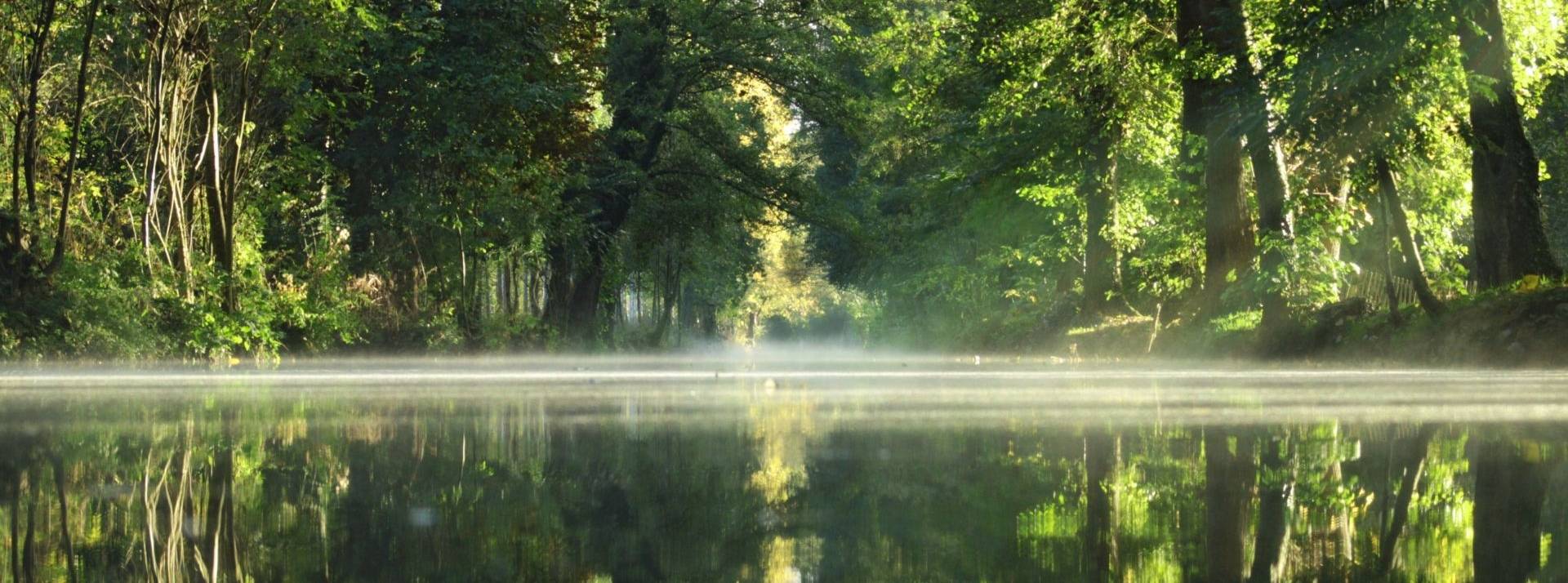 ba&sh scelle un partenariat avec l’ONG Canopy pour répondre au défi de la protection des écosystèmes et de la biodiversité Forêt