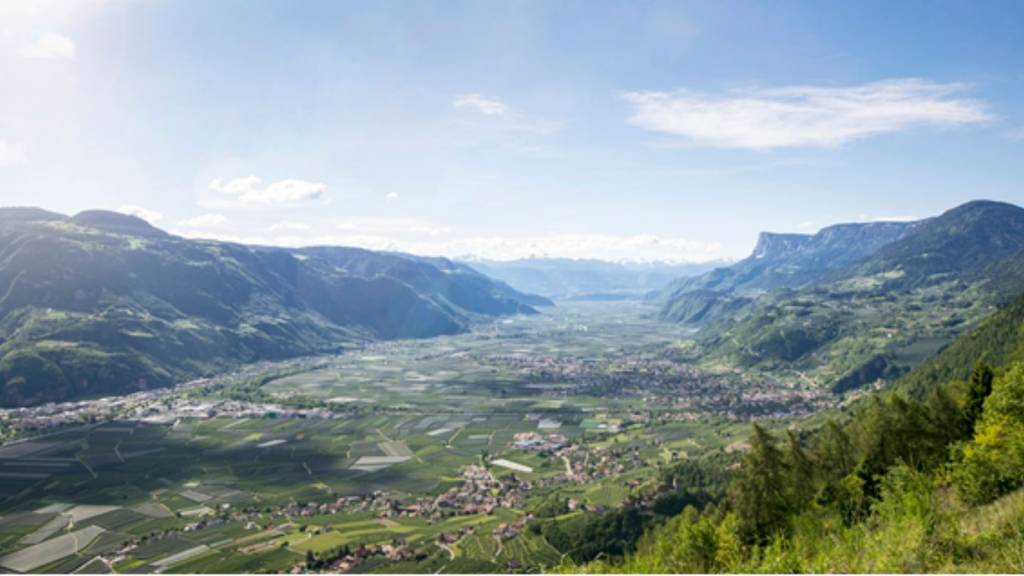 Champ situé dans les Alpes du Tyrol du Sud