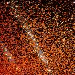 Confettis