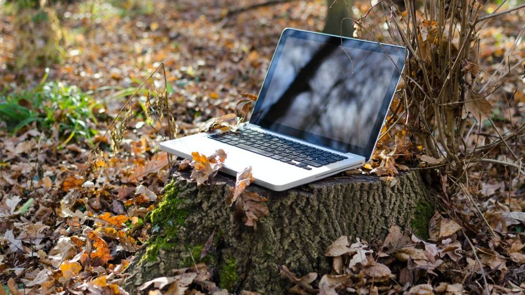 Ordinateur posé sur une souche d'arbre au mileu d'une forêt