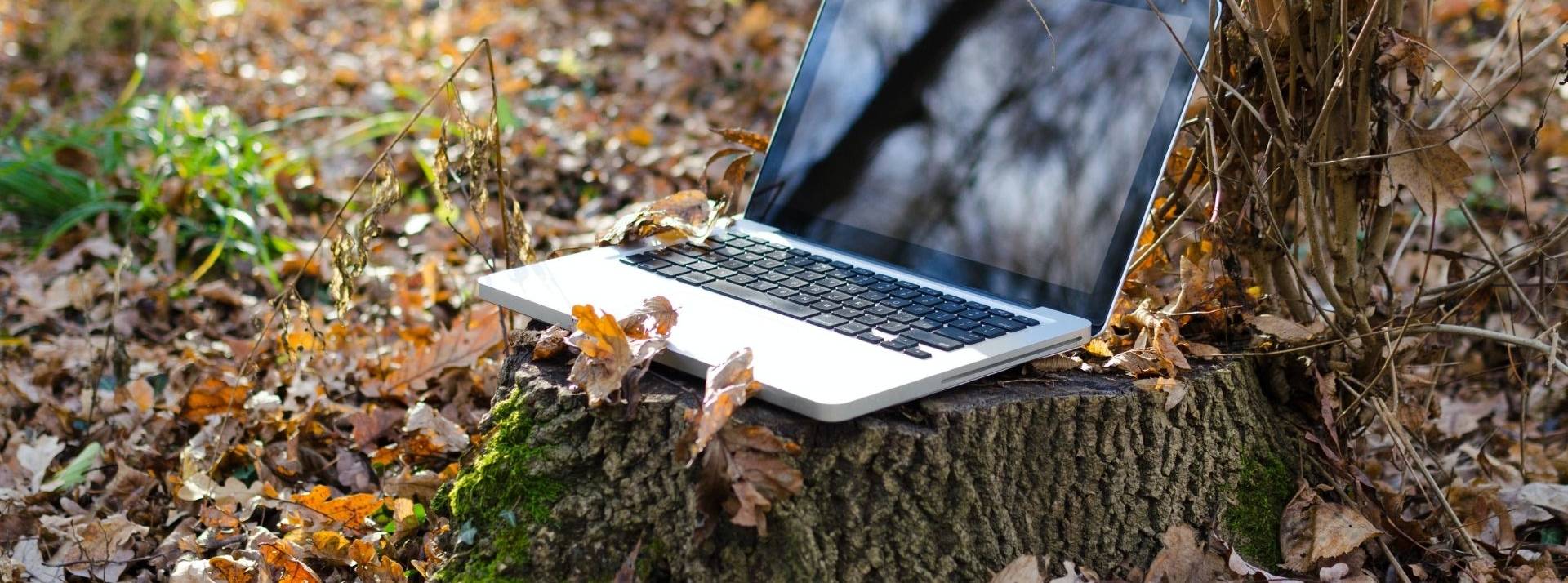 Mozoo - spécialiste de la publicité digitale et de la créativité sur mobile - lance son label GreenByMozoo Ordinateur posé sur une souche d'arbre au mileu d'une forêt