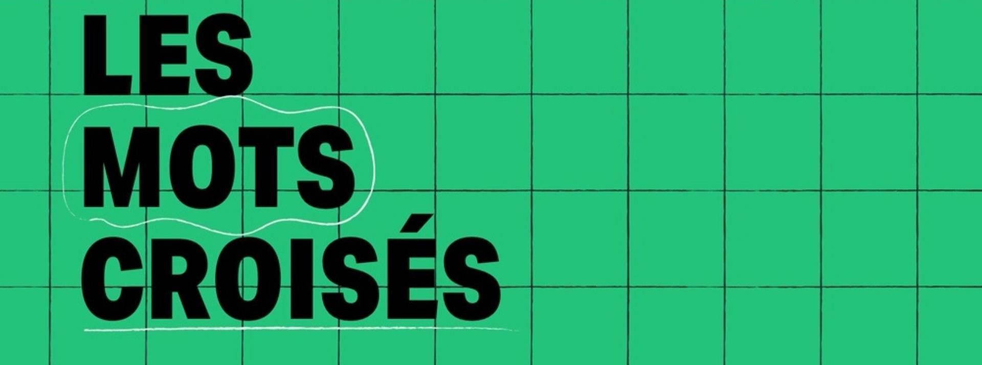 My Little Paris lance ses mots croisés, une version revisitée Teste : Les mots croisés sur un fond vert