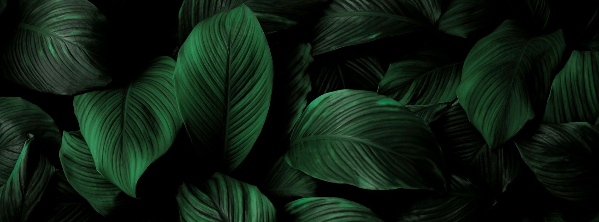 L’influence responsable : faire des réseaux sociaux un levier d’impact positif L’influence responsable : faire des réseaux sociaux un levier d’impact positif