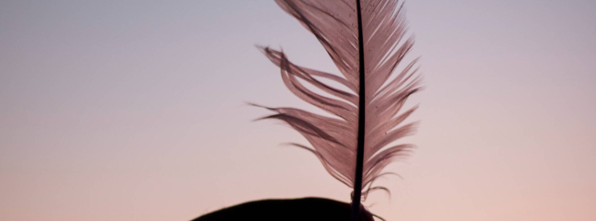 pexels-dominika-roseclay-2925275 pexels-dominika-roseclay-2925275