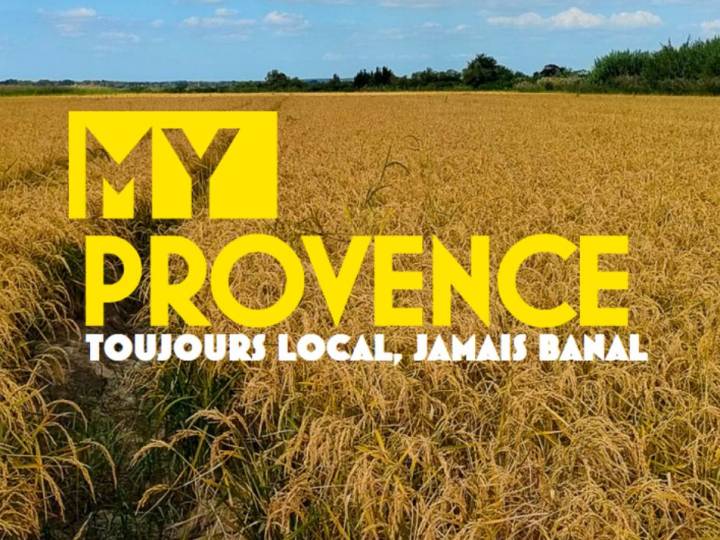 Le média digital de Provence Tourisme, My Provence, a mis à disposition de ses visiteurs un outil basé sur l’Intelligence Artificielle.