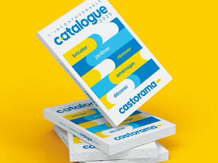Visuel Castorama